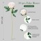 50PCS Champagne Artificial Roses with Long Stems – Realistic Silk & Velvet Fake Flowers Bouquet for DIY Wedding, Bridal Shower, Baby Shower, Party Centerpieces, Home & Event Decor, Gift for Her